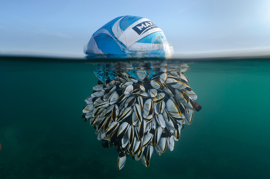 Check out the best aquatic landscape photos in the UK