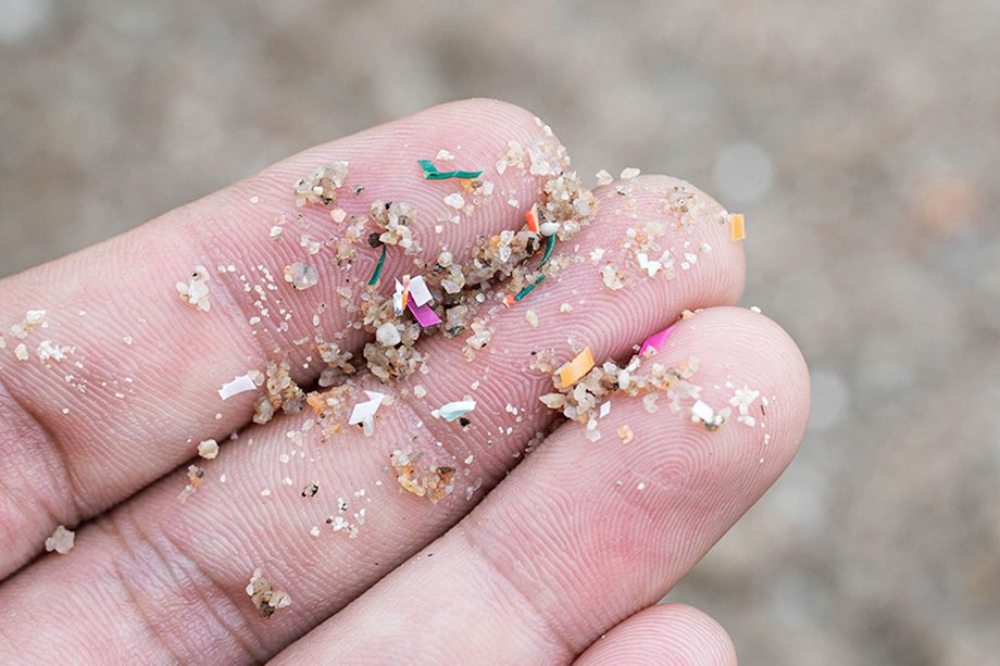 Microplásticos têm entrado na cadeia alimentar a partir de animais marinhos