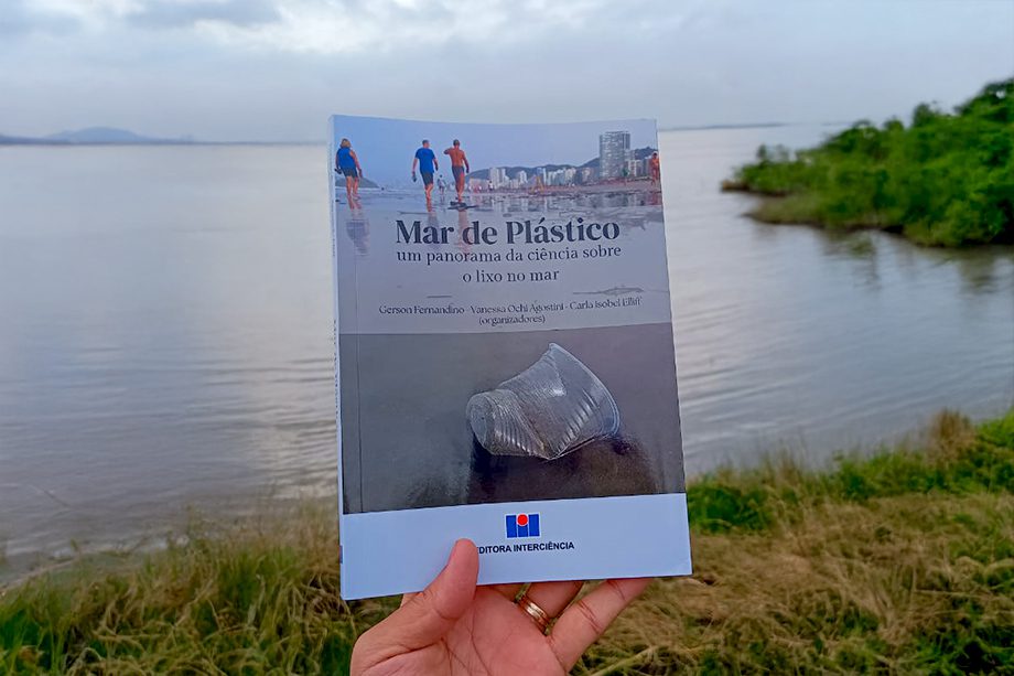 Livro “Mar de Plástico” reúne análises de quase 50 cientistas brasileiros sobre o lixo no mar